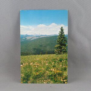 Vintage Postcard - Manning Park British Columbia - Traveltime